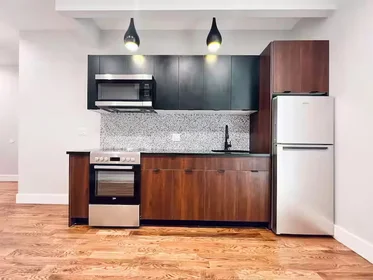 Logement entier en résidence à 325 Putnam Ave, 2L, Brooklyn NY, 11216, 2L, Bedford-Stuyvesant, New York, NY, 11216, image 6 de 8
