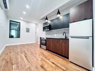 Logement entier en résidence à 325 Putnam Ave, 2L, Brooklyn NY, 11216, 2L, Bedford-Stuyvesant, New York, NY, 11216, image 7 de 8