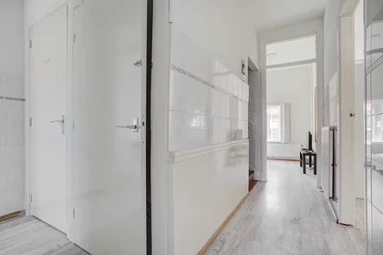 Shared room at Beetsstraat, Laak, image 3 of 10