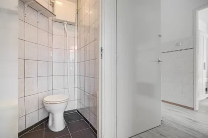 Shared room at Beetsstraat, Laak, image 4 of 10