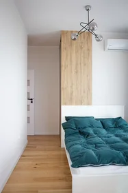 Entire apartment at Hetmańska, Rzeszow, image 1 of 10