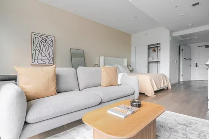Entire apartment at Tingey Square Southeast, Navy Yard, image 4 of 10