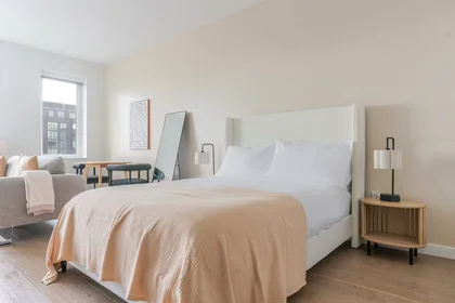 Entire apartment at Tingey Square Southeast, Navy Yard, image 9 of 10