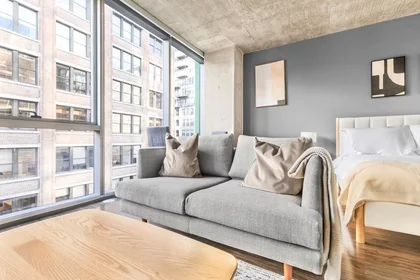 Appartamento intero in West Jackson Boulevard, West Loop, immagine 1 di 10