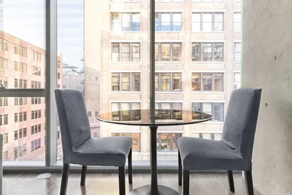 Appartamento intero in West Jackson Boulevard, West Loop, immagine 6 di 10