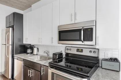Appartamento intero in West Jackson Boulevard, West Loop, immagine 7 di 10