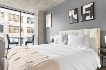 Appartamento intero in West Jackson Boulevard, West Loop, immagine 9 di 10