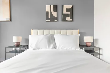 Appartamento intero in West Jackson Boulevard, West Loop, immagine 10 di 10