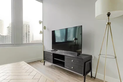 Appartamento intero in North Desplaines Street, West Loop, immagine 4 di 10