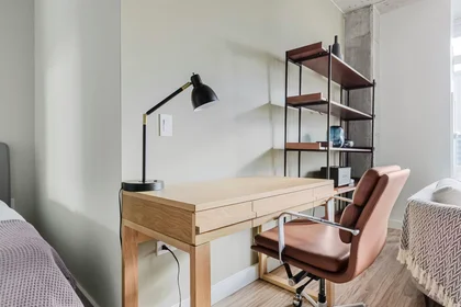 Appartamento intero in North Desplaines Street, West Loop, immagine 5 di 10