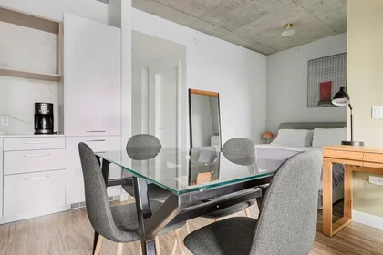Appartamento intero in North Desplaines Street, West Loop, immagine 7 di 10