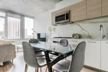 Appartamento intero in North Desplaines Street, West Loop, immagine 8 di 10
