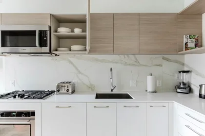 Appartamento intero in North Desplaines Street, West Loop, immagine 10 di 10
