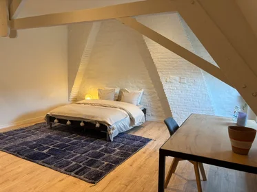 Özel oda konumu Filips van Marnixstraat, Gent, 5 10 görüntüsü