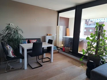 Całe miejsce Engels Plein, Leuven, obraz 2 10