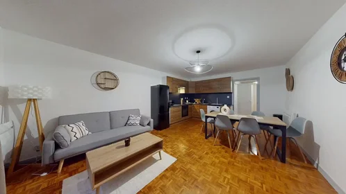 Quarto privado em Rue Saint-Dizier, Charles III/Centre Ville, imagem 1 de 10