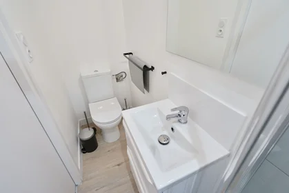 Stanza privata in 27 rue Paul Bert, immagine 22 di 23