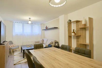 Prywatny pokój 27 rue Paul Bert, obraz 8 22