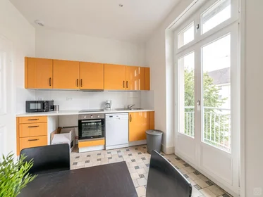 Habitación privada en Poincaré (centre ville), Strasbourg, imagen 1 de 6