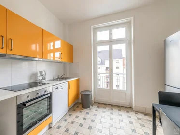 Habitación privada en Poincaré (centre ville), Strasbourg, imagen 2 de 6