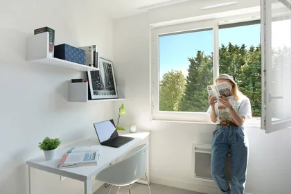 Quarto privado em residência em Lille, 59000, imagem 1 de 15