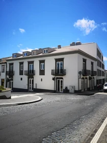 Modern and bright flat in Ponta-delgada