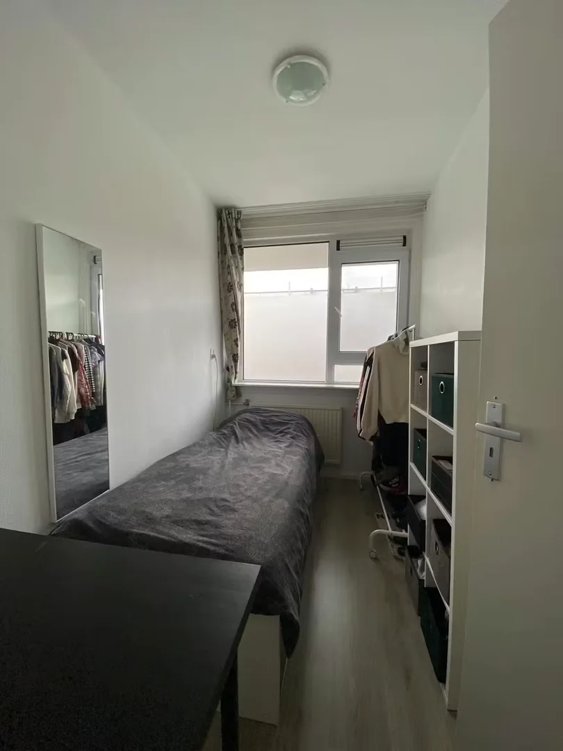 'da öğrenciler için yeterli aydınlatmaya sahip uygun fiyatlı oda