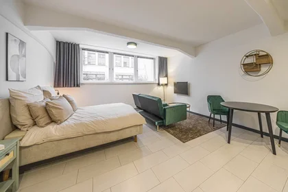 Całe miejsce Paul-List-Straße, Mitte, obraz 8 10