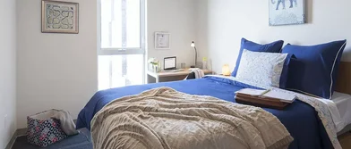 Appartamento intero in 253 College Street, immagine 15 di 20