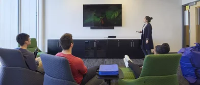Appartamento intero in 253 College Street, immagine 18 di 20