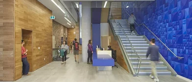 Appartamento intero in 253 College Street, immagine 19 di 20