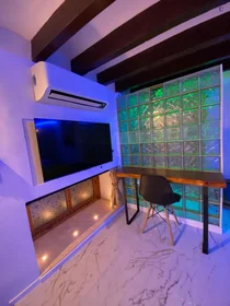 Entire apartment at Carrer de la Quartereta, image 29 of 29