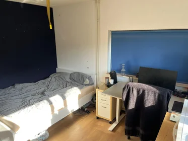 Private room at Ribbelerbrinkstraat, image 1 of 3