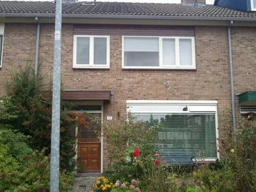 Prywatny pokój Jupiterstraat, obraz 3 8