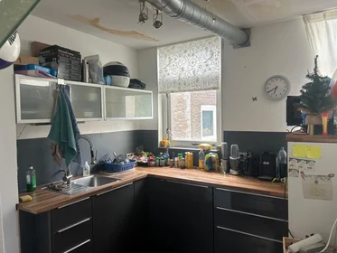 Privatzimmer in der West-Varkenoordseweg, bild 10 von 10
