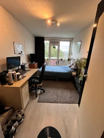 Private room at Jeroen Boschlaan, image 1 of 6