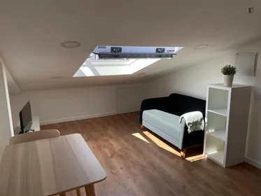 Modern and bright flat in {area}