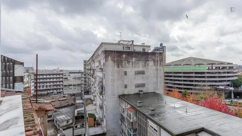 Całe miejsce Rua de Santa Catarina, obraz 24 30
