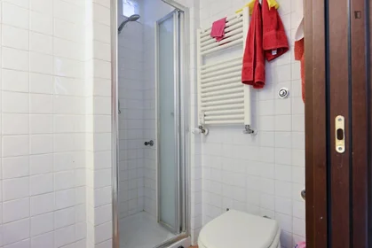 Private room at Via Germano Sommeiller, image 9 of 13