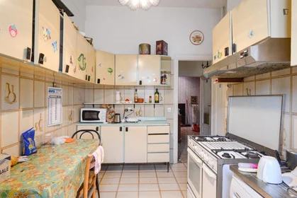 Chambre partagée à Via Federico Ozanam, 23, image 5 de 11
