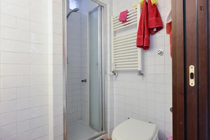 Chambre partagée à Via Germano Sommeiller, image 13 de 16