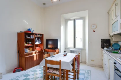Chambre partagée à Via Germano Sommeiller, image 6 de 16