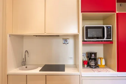 Entire apartment at Via Cola di Rienzo, image 15 of 27