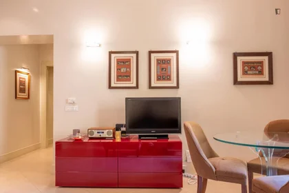 Entire apartment at Via Cola di Rienzo, image 9 of 27