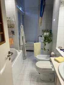 Stanza privata in Via Giuseppe Vaccari, immagine 13 di 18