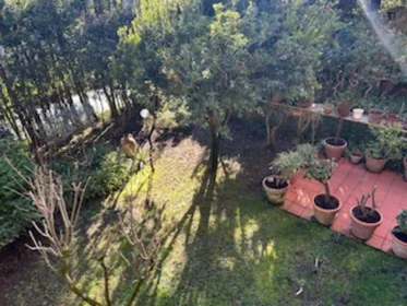 Stanza privata in Via Giuseppe Vaccari, immagine 18 di 18
