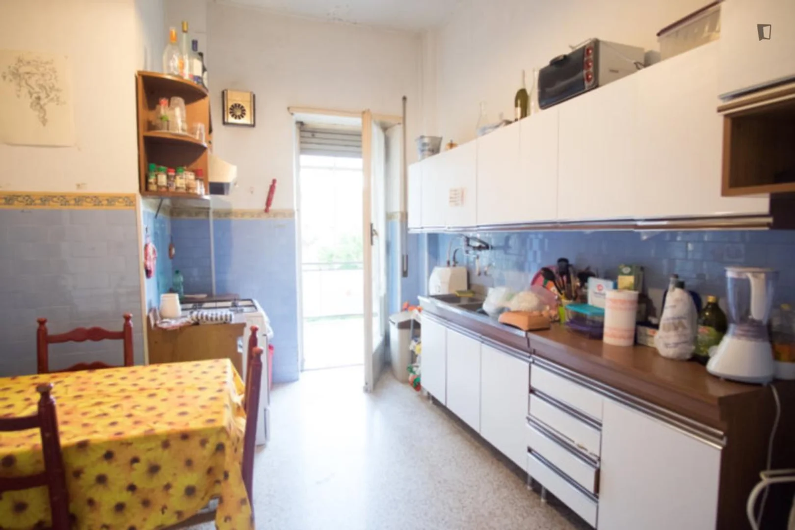 Affordable room for students with ample lighting in