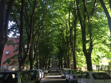 Appartamento intero in Via di Commodilla, immagine 9 di 9