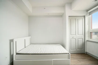 Appartamento intero in residence in 168 Division St, Kingston, ON K7L 0G5, Canada    , immagine 20 di 26