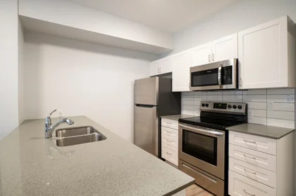 Appartamento intero in residence in 168 Division St, Kingston, ON K7L 0G5, Canada    , immagine 1 di 26